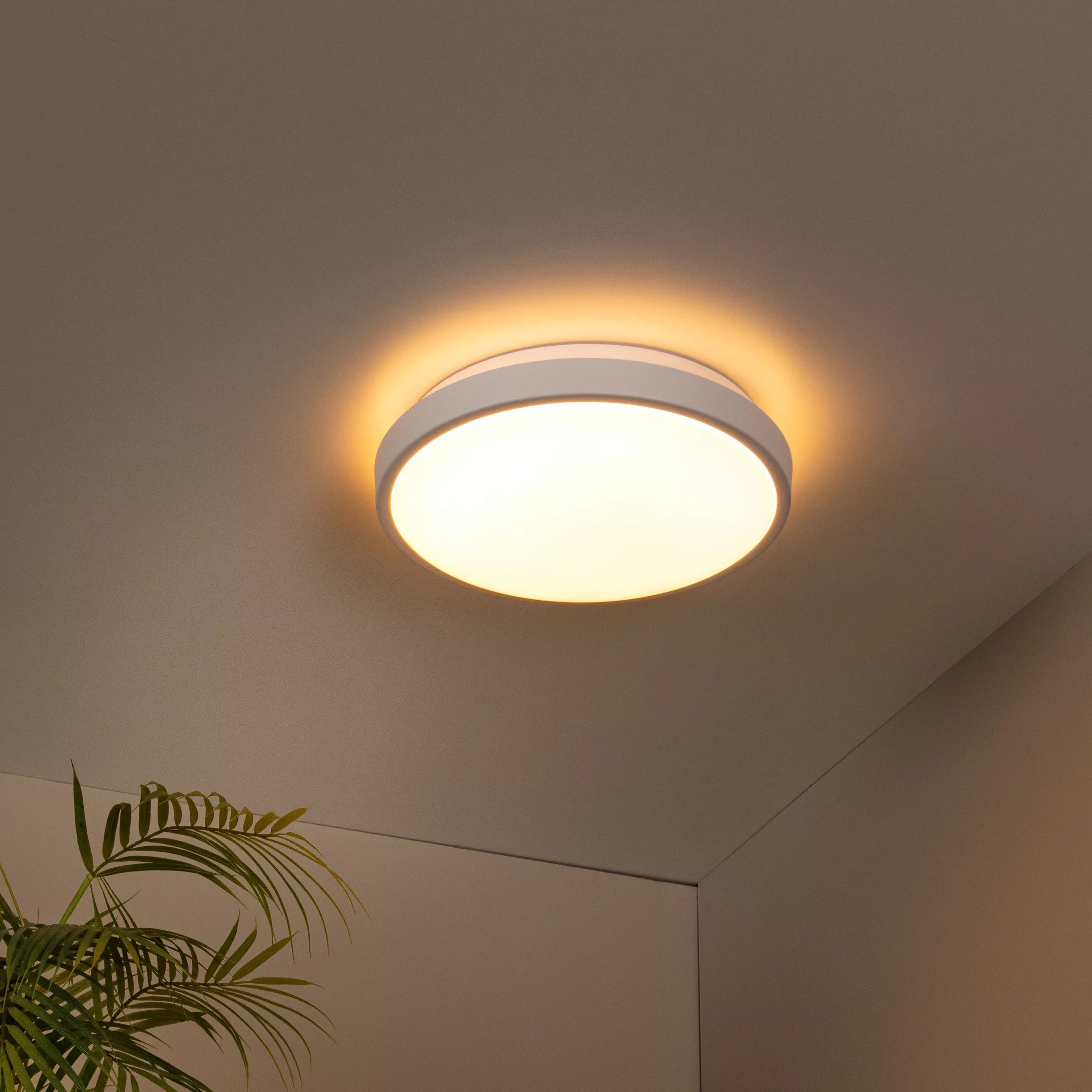 Lucide Dasher - Plafondlamp - Ø 29, 3 X 8, 5 Cm - 12W Led Incl. - IP44 - Wit
