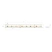 KLUS LED strip - 1,07cm breed, 500cm lengte - 24Vdc - dimbaar - 5W per meter - 140 LEDs per meter - IP65 - enkel compatibel met geselecteerde KLUS profielen - 3000K
