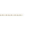 KLUS LED strip - 0,8cm breed, 500cm lengte - 24Vdc - dimbaar - 9,1W LED per meter - IP65 - 3000K - enkel compatibel met geselecteerde KLUS profielen