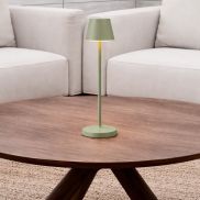 Nova Luce Petit - oplaadbare tafellamp - Ø 7 x 28 cm - 2W dimbare LED incl. - IP54 - olijfgroen