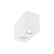 Nova Luce Rende - opbouwspot 2L - 18 x 9,6 x 12,5 cm - wit