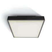 ONE Light E27 Plafo Outdoor Square - buiten plafondverlichting - 22,1 x 22,1 x 9,3 cm - IP65 - zwart