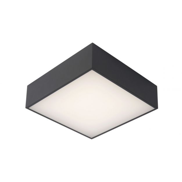 Lucide Roxane - plafondverlichting - 24 x 24 x 7,1 cm - 10W LED incl. - IP54 - antraciet