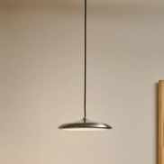 Design for the People Artist 25 - hanglamp - Ø 25 x 306 cm - 14W dimbare LED incl. - roestvrij staal