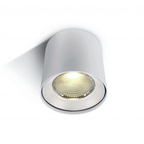 ONE Light COB LED Indoor Cylinders - opbouwspot 1L - Ø 11,8 x 11,5 cm - 15W LED incl. - wit
