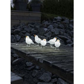 Konstsmide kerstverlichting - decoratieve vogelset (5 stuks) - 16 x 400 x 11,5 cm - IP44 - transparant
