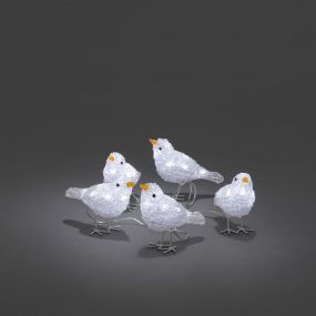 Konstsmide kerstverlichting - decoratieve vogelset (5 stuks) - 16 x 400 x 11,5 cm - IP44 - transparant