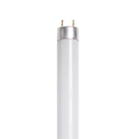 TL lamp T8 - G13 - 30W - wit (einde reeks)