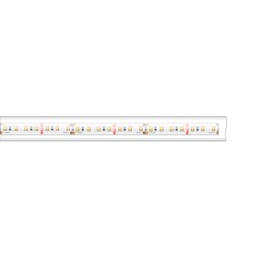 Klus LED strip - 1,67cm breed, 500cm lengte - 24Vdc - dimbaar - 9,6W LED per meter - 140 LEDs per meter - IP65