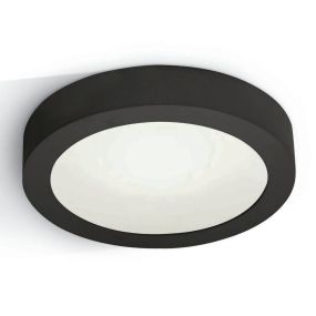ONE Light LED Plafo Round - plafondverlichting - Ø 24 x 3,9 cm - 16W LED incl. - zwart - warm witte lichtkleur