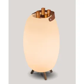 New Garden Apolo - flessen koeler met speaker en licht op afstandsbediening - Ø 38 x 69 cm - IP44 - wit