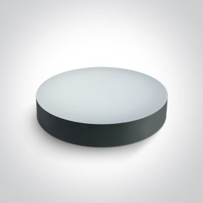ONE Light IP65 CCT V - plafondlamp - Ø 32 x 6,2 cm - 20W LED incl. - IP65 - antraciet