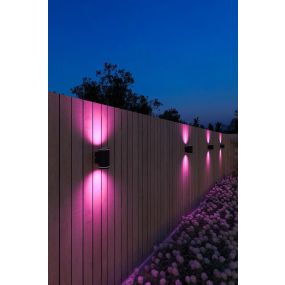 Calex Smart Up & Down Light - dimfunctie en instelbare lichtkleur via app - Ø 7,6 x 13,8 cm - 8W LED incl. - IP54