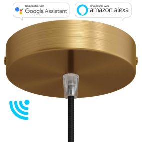 Creative Cables SMART - plafondrozet met wifi verbinding - Ø 12 x 2,5 cm - geborsteld brons