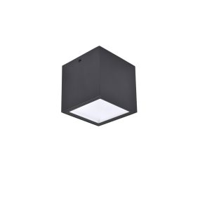 Lutec Gemini - buiten plafondlamp LED - 8,5 x 8,5 x 8,5 cm - 6,9W LED incl. - IP65 - donker grijs