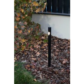 Faro Bezel - tuinpaal op piek - Ø 4 x 80 cm - 8W LED incl. - IP65 - zwart