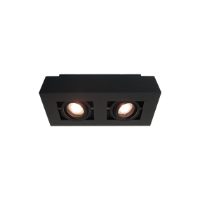 Artdelight Bosco - opbouwspot 2L - 25 x 14 x 8,6 cm - zwart