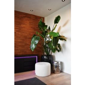 Calex Smart Led strip - 1cm breed, 200cm lengte - dimfunctie en instelbare lichtkleur via app - 4000K - RGB + CCT - via stekker