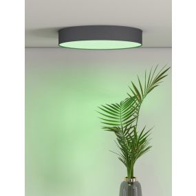 Calex Smart Ceiling Light - dimfunctie en instelbare lichtkleur via app - Ø 30 x 6,5 cm - 16W LED incl. - zwart