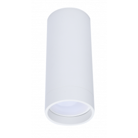Lutec Stag - opbouwspot - slimme verlichting - Lutec Connect - Ø5,4 x 13 cm - 4,7W LED incl. - dimfunctie en instelbare lichtkleur via app -  wit