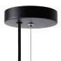 Lucide Fern - hanglamp - Ø 20 x 160 cm - zwart