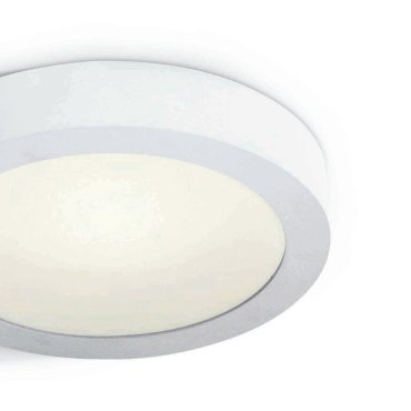 ONE Light LED Plafo Round - plafondverlichting - Ø 30 x 3,9 cm - 30W LED incl. - IP40 - wit - warm witte lichtkleur