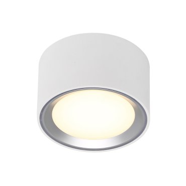 Nordlux Fallon - opbouwspot 1L - Ø 10 cm - 4 stappen Moodmaker functie - 5,5W dimbare LED incl. - wit en geborsteld staal