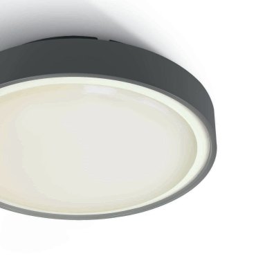 ONE Light E27 Plafo Outdoor - buiten plafondverlichting - Ø 30 x 9,3 cm - IP65 - antraciet
