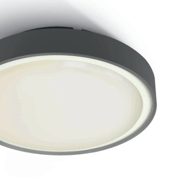 ONE Light LED Plafo Outdoor Round - buiten plafondverlichting - Ø 30 x 8,3 cm - 24W LED incl. - IP65 - antraciet