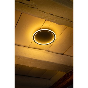 ETH Loïs - plafondlamp - Ø 23 x 5 cm - 3 stappen dimbaar - 15W LED incl. - IP44 -  zwart