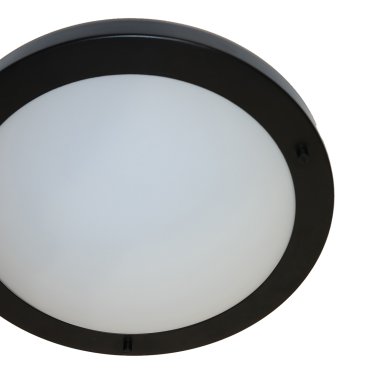 Artdelight Yuca - badkamer plafondverlichting - Ø 30 cm - IP44 - zwart