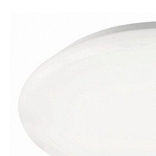 Bologna LED II (einde reeks)