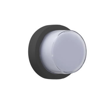 Century Italia Pura - wand/plafondlamp - Ø 17 x 10 cm - 10W LED incl. - IP65 - antraciet