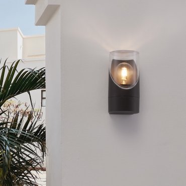Nova Luce Selena - buiten wandverlichting - Ø 9 x 17,1 x 10,1 cm - IP65 - donker antraciet