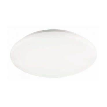 Bologna LED II (einde reeks)