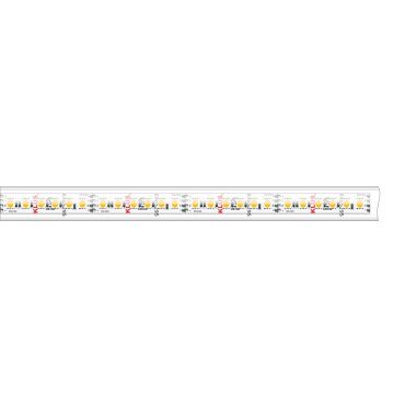 KLUS LED strip - 1,67cm breed, 500cm lengte - 24Vdc - 7W LED per meter - 120 LEDs per meter - IP65 - RGB