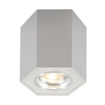 Zuma Line Polygon CL R- opbouwspot 1L - 12 cm - zilver