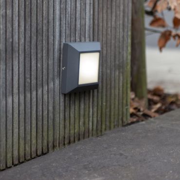 Lutec Helena - buiten wandverlichting - 10,1 x 10,1 x 3,2 cm - 4,5W LED incl. - IP54 - zwart