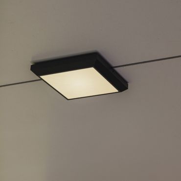 Lutec Helena - wand/plafondverlichting - 22 x 22 x 3,6 cm - 21,5W LED incl. - donkergrijs - wit