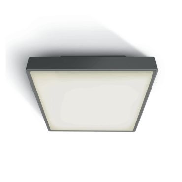 ONE Light LED Plafo Outdoor Square - buiten plafondverlichting - 22,1 x 22,1 x 5,7 cm - 16W LED incl. - IP65 - antraciet