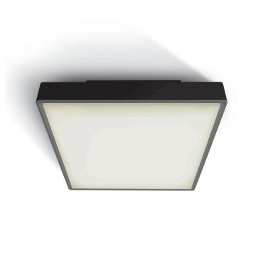 ONE Light E27 Plafo Outdoor Square - buiten plafondverlichting - 22,1 x 22,1 x 9,3 cm - IP65 - zwart