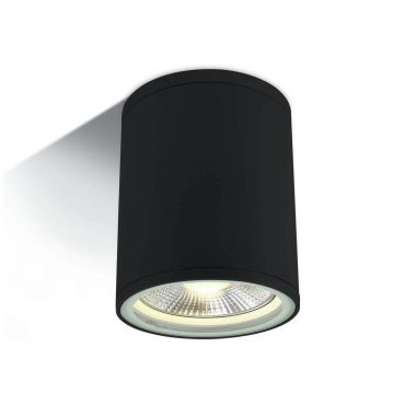 ONE Light PAR30 Outdoor Cylinders - buiten plafondverlichting - Ø 10,6 x 13,4 cm - IP54 - zwart