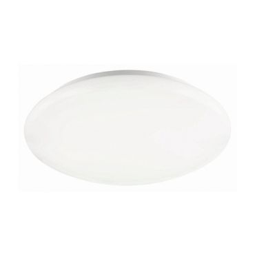 Bologna LED II (einde reeks)