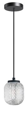 ETH Kristel - hanglamp - Ø 15 x 200 cm - transparant en zwart