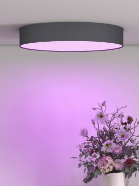 Calex Smart Ceiling Light - dimfunctie en instelbare lichtkleur via app - Ø 40 x 6,5 cm - 24W LED incl. - zwart