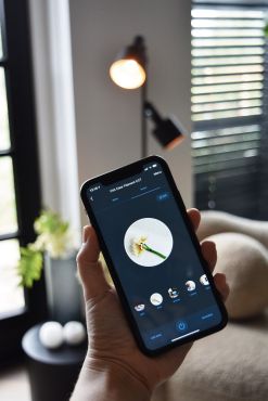 Calex Smart LED lamp - Ø 4,5 x 11 cm - E14 - 4,9W - dimfunctie via app - 1800 tot 3000K - white ambiance