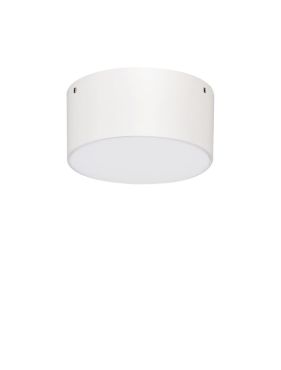 Nova Luce Judi - plafondlamp - Ø 12 x 6 cm - 10W LED incl. - IP65 - wit
