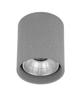 Nova Luce Ritz - buiten plafondverlichting - Ø 10,2 x 12 cm - 10W LED incl. - IP65 - grijs