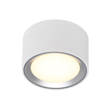 Nordlux Fallon - opbouwspot 1L - Ø 10 cm - 4 stappen Moodmaker functie - 5,5W dimbare LED incl. - wit en geborsteld staal