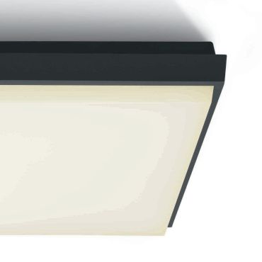 ONE Light Outdoor Slim LED - buiten plafondverlichting - 30 x 30 x 4,9 cm - 30W LED incl. - IP54 - antraciet